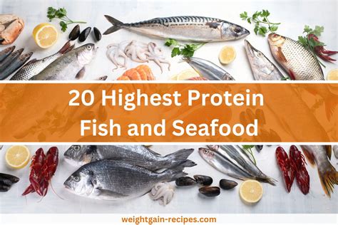 high protein fish food|12 Protein.